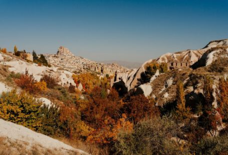 Old Cappadocia Culture - a rocky hillside with trees and bushes