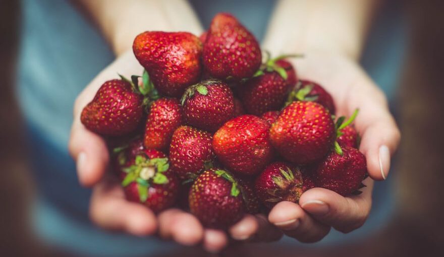 Food Souvenirs Cappadocia - shallow focus photography of strawberries on person's palm