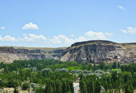 Quality Budget-friendly Hostels Cappadocia - green trees near mountain under blue sky during daytime
