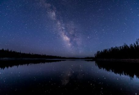 Night Sky - silhouette of trees near body of water under sky with stars