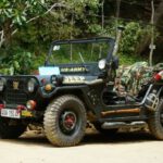 Jeep Safaris - black Jeep Wrangler parking near tree at daytime