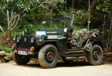 Jeep Safaris - black Jeep Wrangler parking near tree at daytime