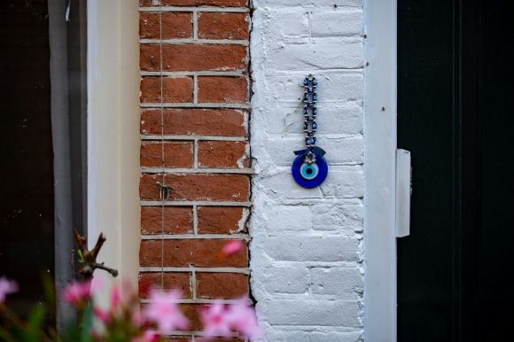 Evil Eye - purple flower on brown brick wall